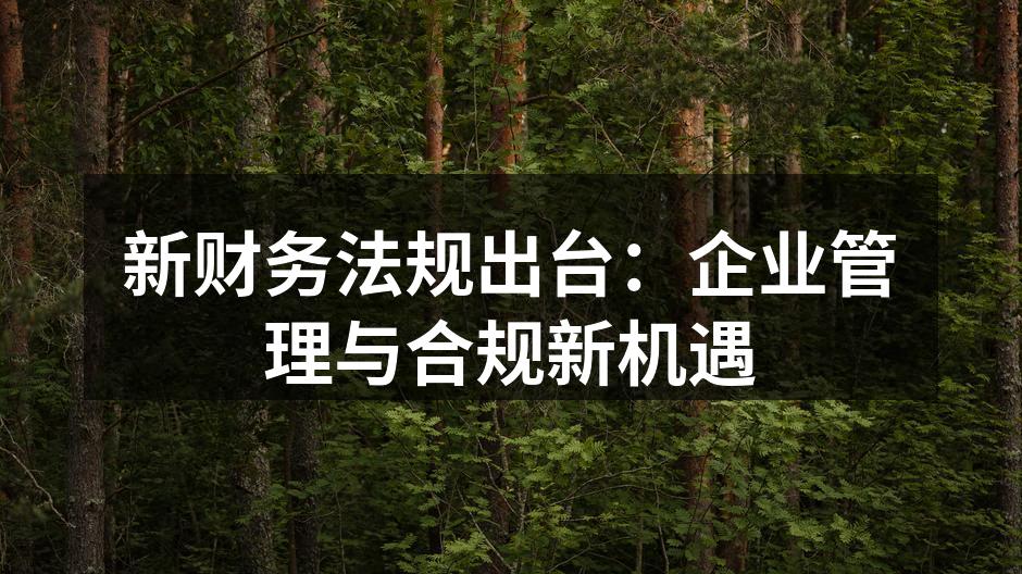 新财务法规出台：企业管理与合规新机遇